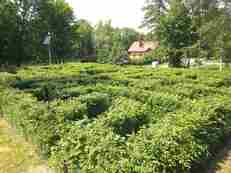 1920 - zdjęcie nr 1