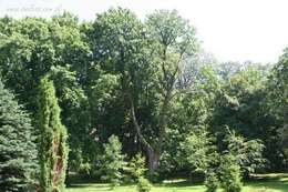 dwor_i_park_trzciana - zdjęcie nr 1