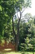 dwor_i_park_trzciana - zdjęcie nr 1