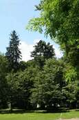 dwor_i_park_trzciana - zdjęcie nr 1