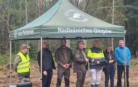 V Otwarte Sadzenie Lasu w Nadleśnictwo Głog&oacute;w, Lasy Państwowe Leśnictwo Bratkowice 2