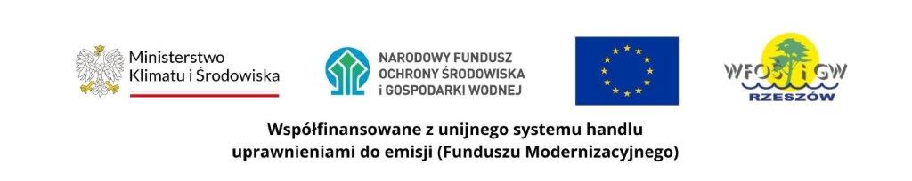 Logo współfinansującego