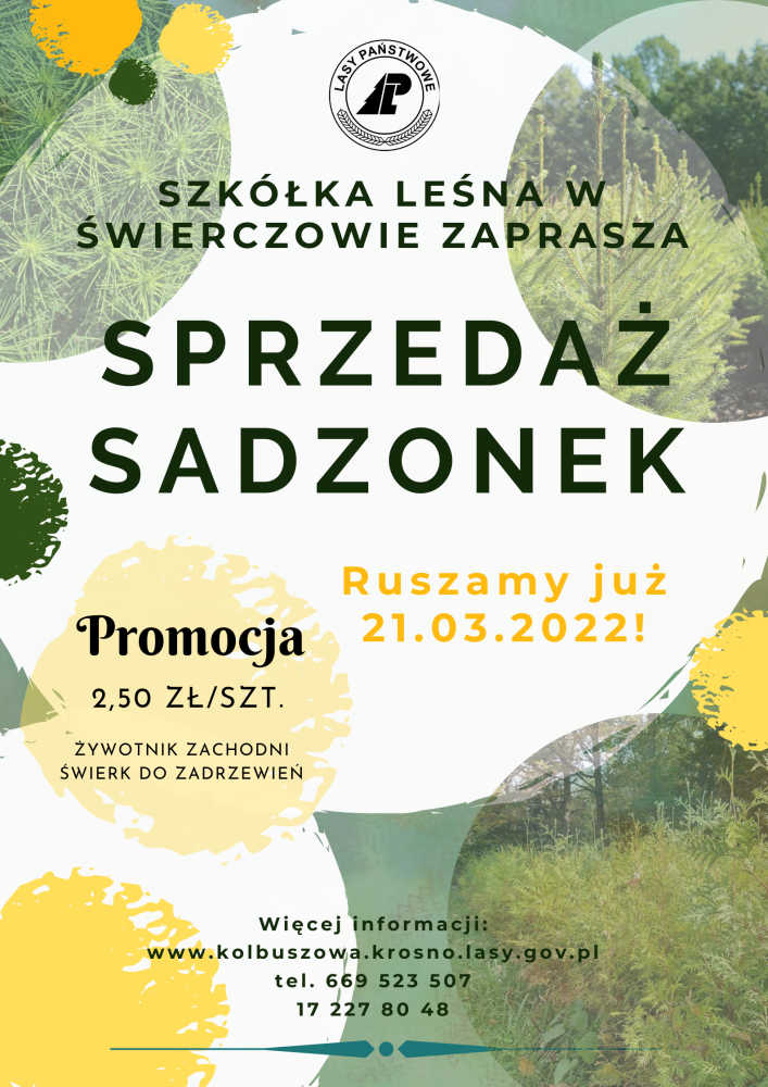 Plakat Sprzedaż sadzonek