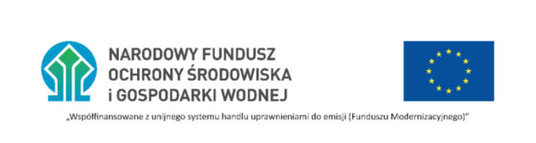 Logo współfinansującego
