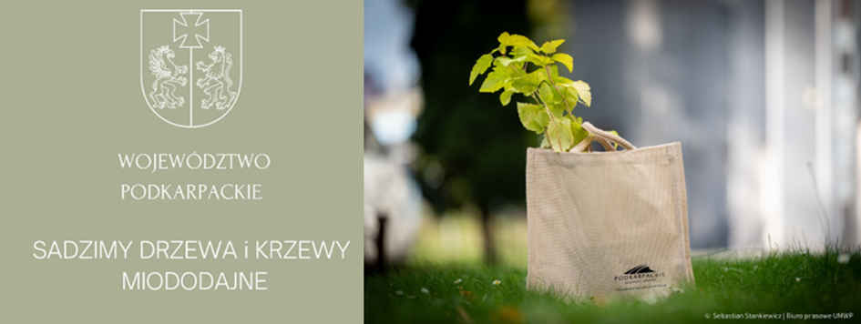 Baner sadzenie drzew