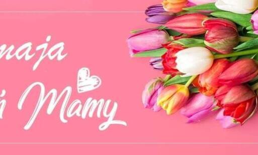 Tulipany - Dzień Mamy - 26 maja