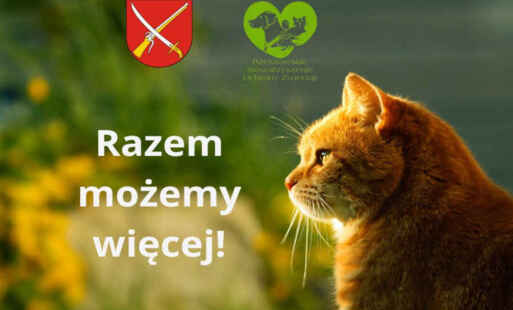 Baner podziękowania