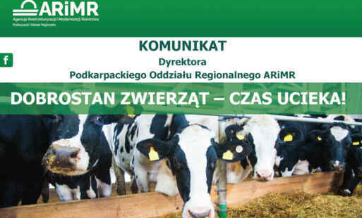 Baner Dyrektora ARiMR