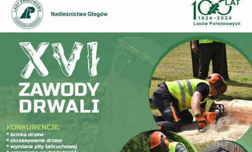 baner zawodów