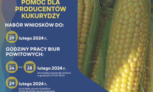Plakat konkursu