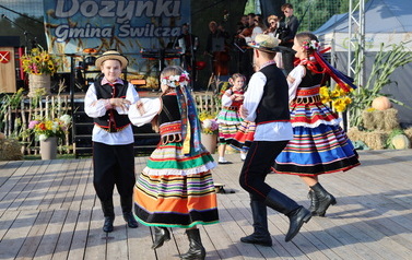 Gminne Dożynki - 20268023 - 133