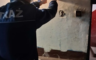 2026.04.01: Czujka na straży Twojego bezpieczeństwa 1