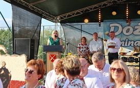 Gminne Dożynki - 20268023 - 147