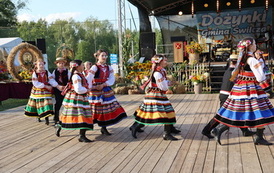 Gminne Dożynki - 20268023 - 134