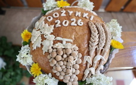 Gminne Dożynki - 20268023 - 041
