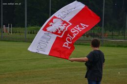 Puchar W&oacute;jta w piłce nożnej - zdjęcie nr 1
