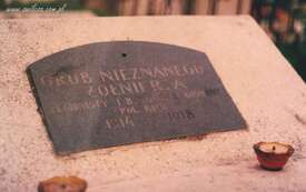 kapliczki_trzciana - zdjęcie nr 1