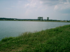 trzciana - zdjęcie nr 1