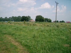 trzciana - zdjęcie nr 1