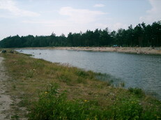 bratk - zdjęcie nr 1