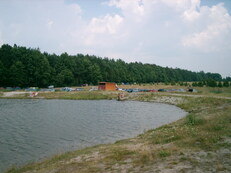 bratk - zdjęcie nr 1