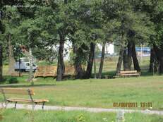 park_podworski - zdjęcie nr 1