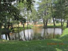 park_podworski - zdjęcie nr 1