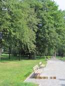park_podworski - zdjęcie nr 1