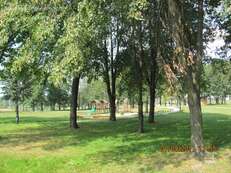 park_podworski - zdjęcie nr 1