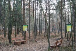 sciezka - zdjęcie nr 1