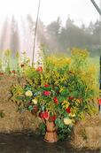 2004-09-05 - zdjęcie nr 1