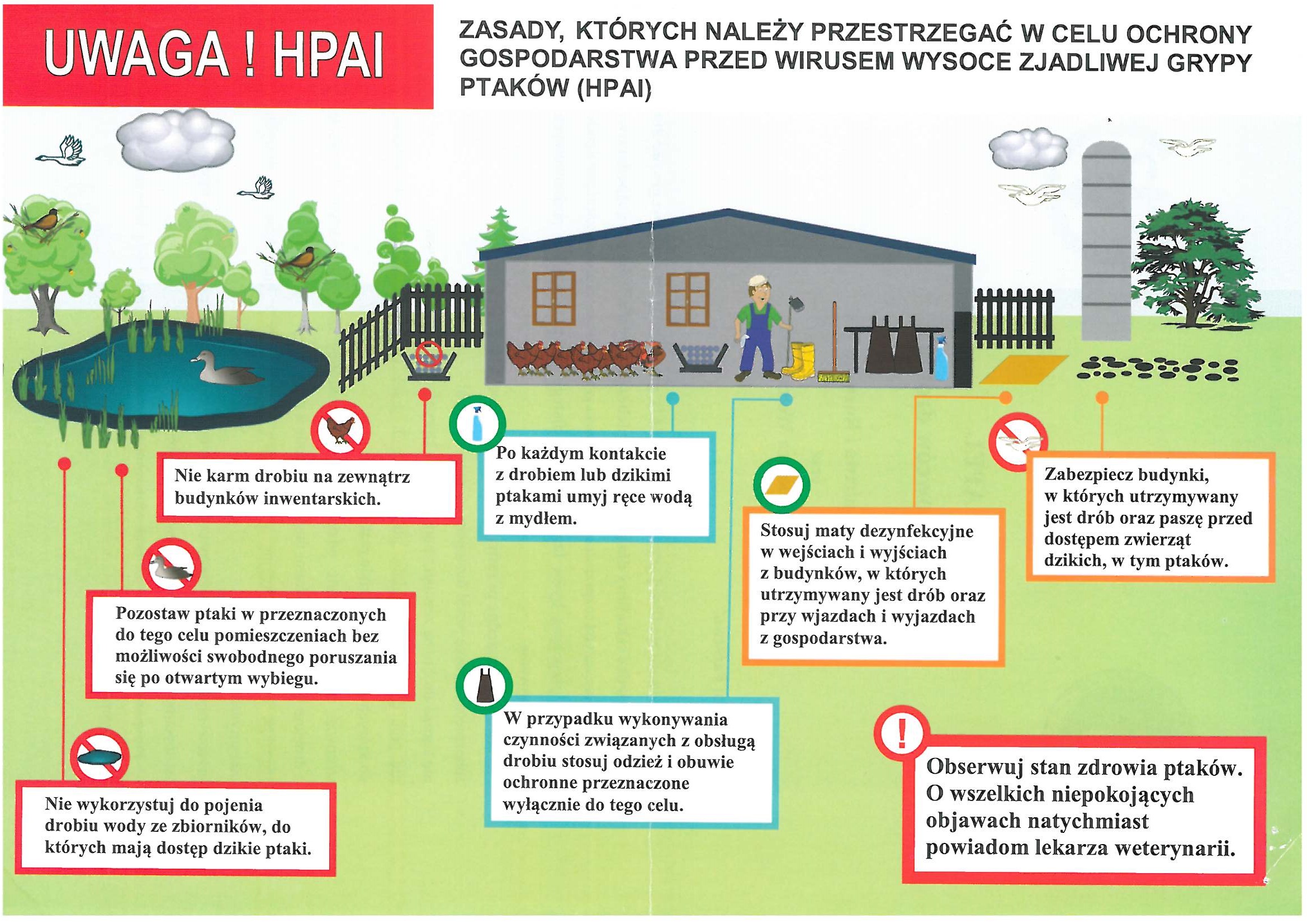 Ulotka APEL do hodowców drobiu