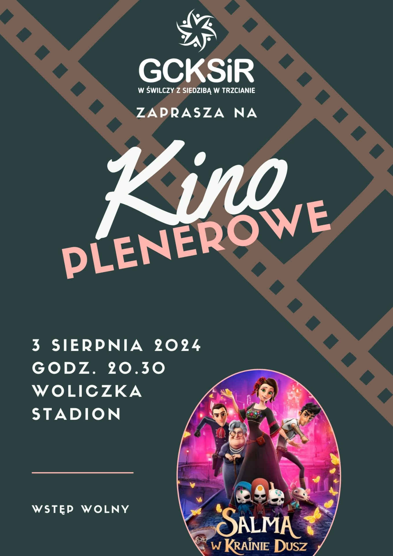 Plakat kina
