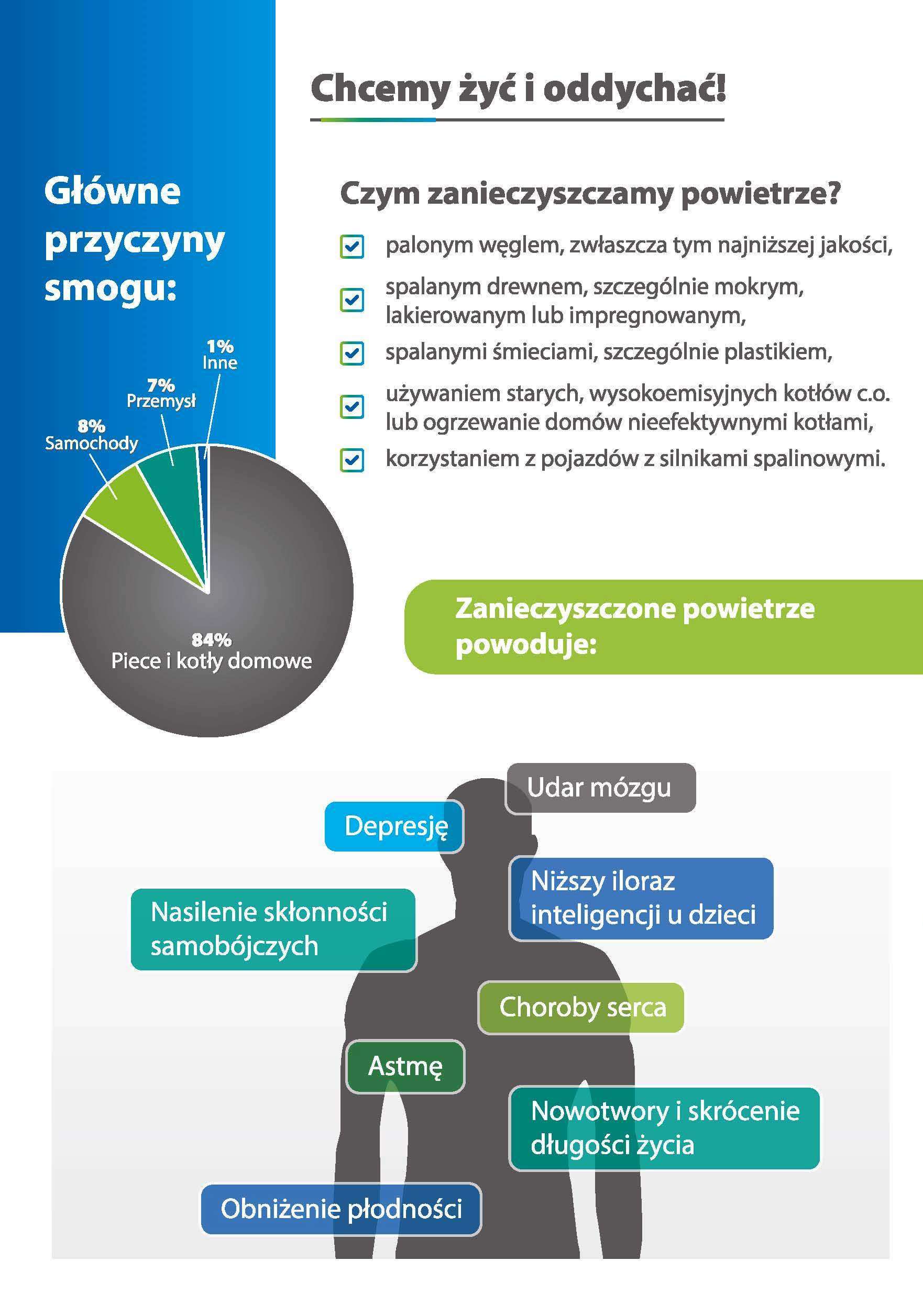 Ulotka projektu strona 2