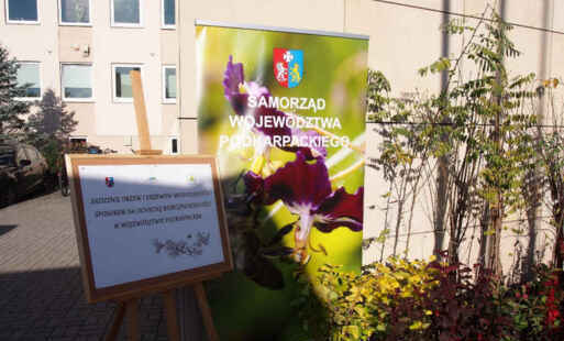 Baner akcji sadzenia drzew