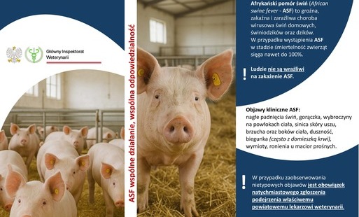 Ulotka komunikatu dla hodowców trzody chlewnej