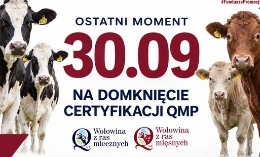 Baner certyfikat QMP
