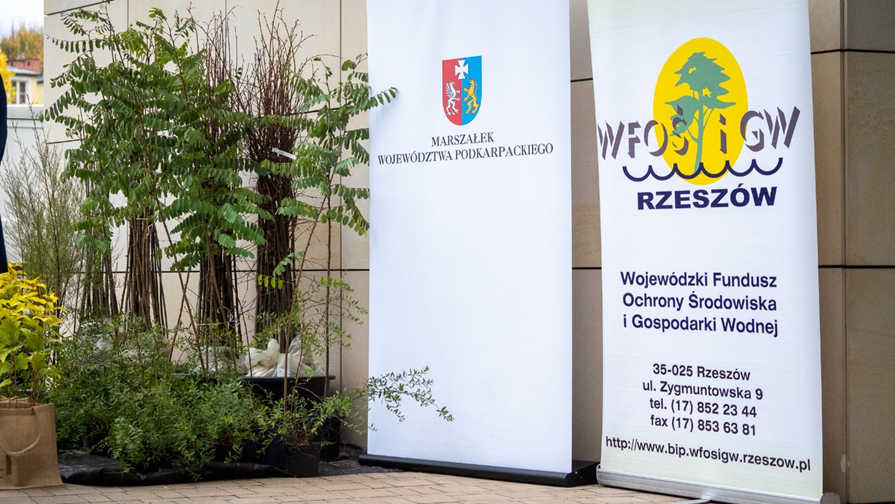 Wojewódzki Fundusz Ochrony Środowiska i Gospodarki Wodnej w Rzeszowie - Sadzenie drzew i krzewów miododajnych