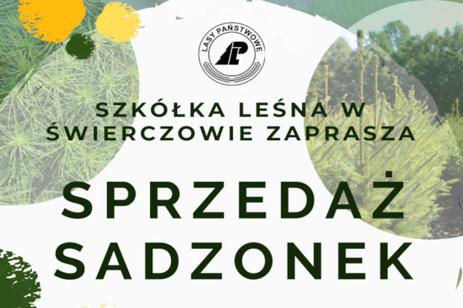 Plakat Sprzedaż sadzonek